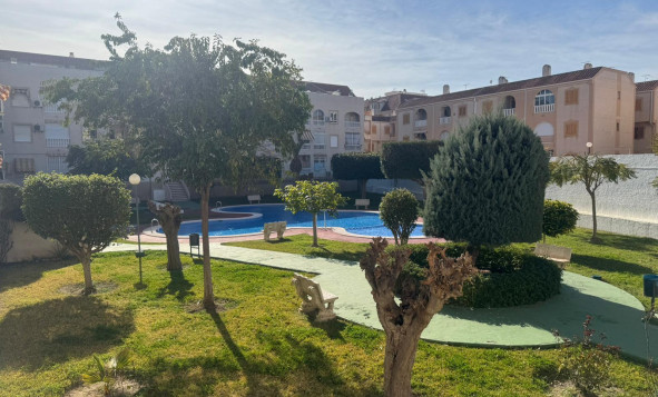 Herverkoop - 1. Appartement / flat - Torrevieja - Costa Blanca Zuid