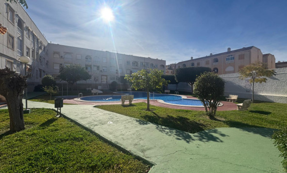 Herverkoop - 1. Appartement / flat - Torrevieja - Costa Blanca Zuid