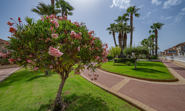 Herverkoop - 1. Appartement / flat - Playa Flamenca - Costa Blanca Zuid