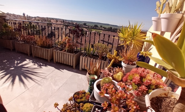 Herverkoop - 2. Town house / tussenwoning - Algorfa - Costa Blanca Zuid