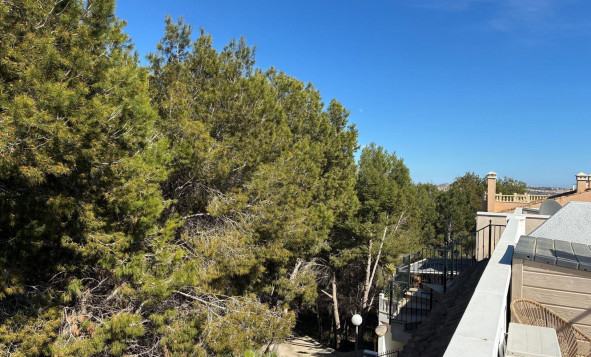 Herverkoop - 1. Appartement / flat - Algorfa - Costa Blanca Zuid