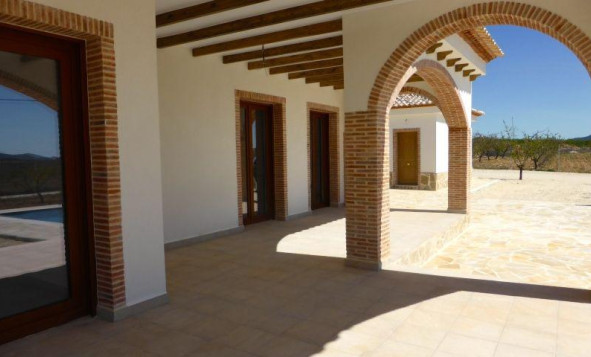 Obra nueva - Villa - Pinoso