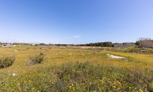 Herverkoop - 1. Appartement / flat - Guardamar del Segura - Urbanizaciones