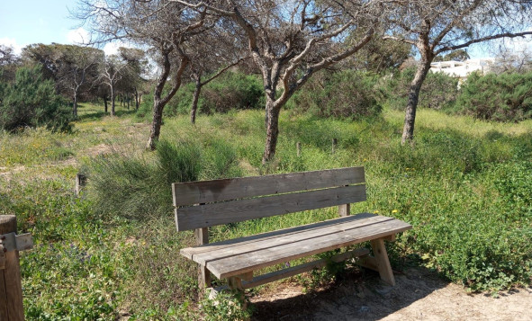 Herverkoop - 1. Appartement / flat - Guardamar del Segura - Urbanizaciones