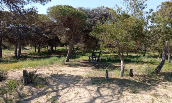 Herverkoop - 1. Appartement / flat - Guardamar del Segura - Urbanizaciones