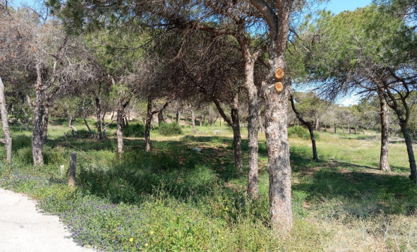 Herverkoop - 1. Appartement / flat - Guardamar del Segura - Urbanizaciones