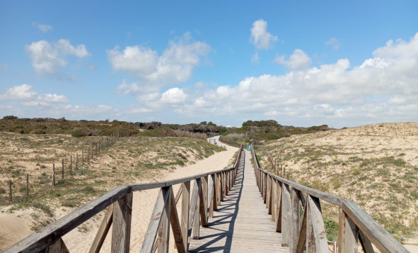 Herverkoop - 1. Appartement / flat - Guardamar del Segura - Urbanizaciones