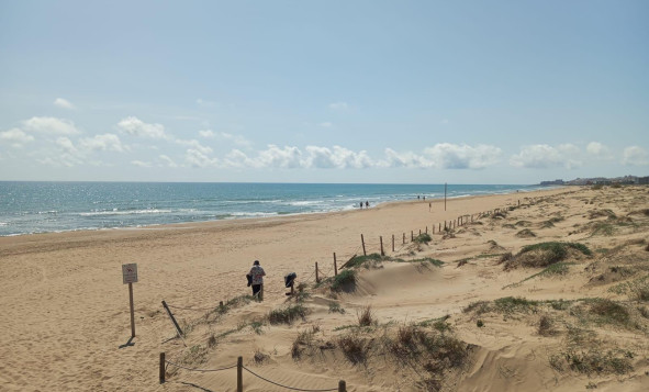 Herverkoop - 1. Appartement / flat - Guardamar del Segura - Urbanizaciones