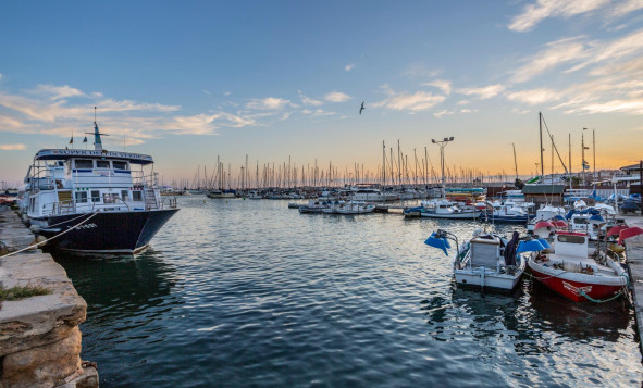 Herverkoop - 3. Vrijstaande villa - Torrevieja - El chaparral