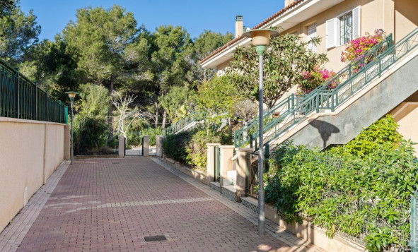 Herverkoop - 1. Appartement / flat - Gran Alacant - Novamar