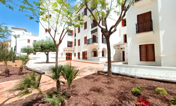 Resale - 1. Apartment / flat - El Valle Golf Resort - El Valle Golf Resort - Centre