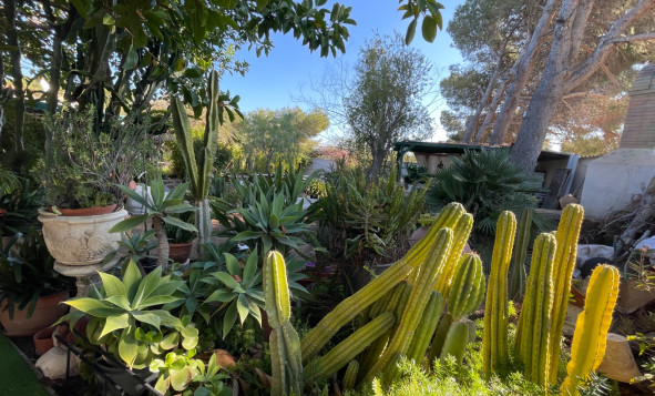 Reventa - 3. Casa indepiende - Orihuela Costa - Costa Blanca Sur