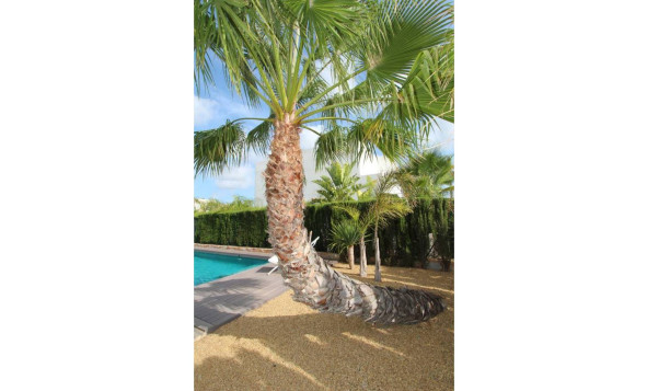 Reventa - 3. Casa indepiende - Rojales - Ciudad Quesada