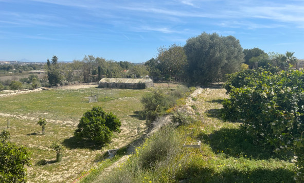 Resale - 3. Detached house - Guardamar del Segura - Valencian Community