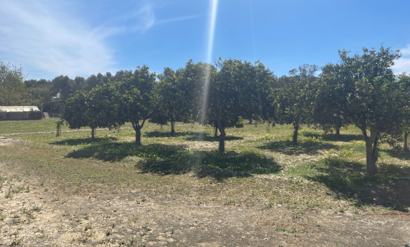 Resale - 3. Detached house - Guardamar del Segura - Valencian Community