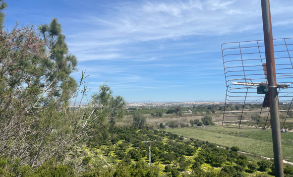 Resale - 3. Detached house - Guardamar del Segura - Valencian Community