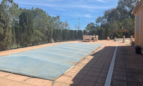 Resale - 3. Detached house - Guardamar del Segura - Valencian Community