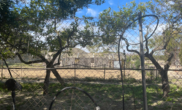 Resale - 3. Detached house - Guardamar del Segura - Valencian Community