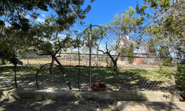 Resale - 3. Detached house - Guardamar del Segura - Valencian Community