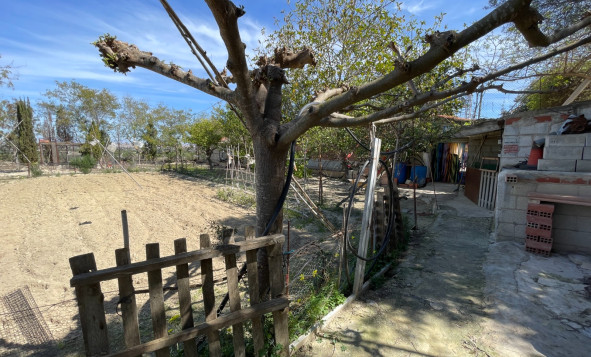 Resale - 3. Detached house - Guardamar del Segura - Valencian Community