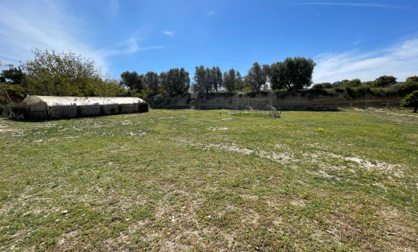 Resale - 3. Detached house - Guardamar del Segura - Valencian Community