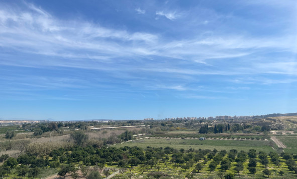 Resale - 3. Detached house - Guardamar del Segura - Valencian Community