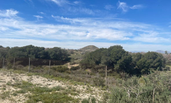 Resale - 3. Detached house - Guardamar del Segura - Valencian Community