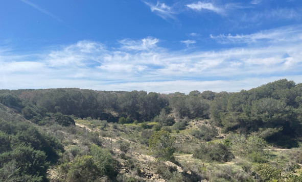 Resale - 3. Detached house - Guardamar del Segura - Valencian Community