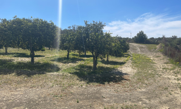 Resale - 3. Detached house - Guardamar del Segura - Valencian Community