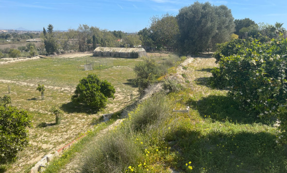 Resale - 3. Detached house - Guardamar del Segura - Valencian Community