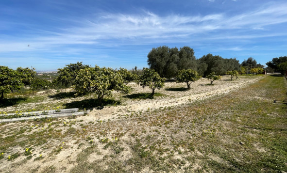 Resale - 3. Detached house - Guardamar del Segura - Valencian Community