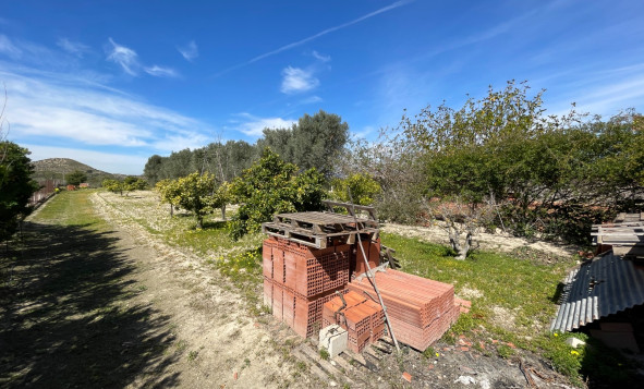 Resale - 3. Detached house - Guardamar del Segura - Valencian Community