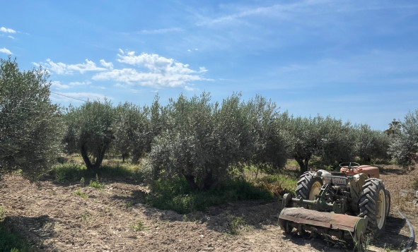 Resale - 3. Detached house - Crevillent - Crevillente