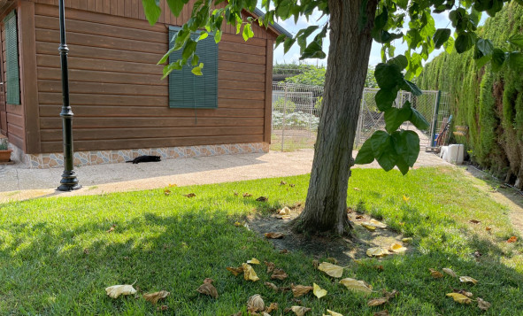 Reventa - 3. Casa indepiende - San Fulgencio - La Marina