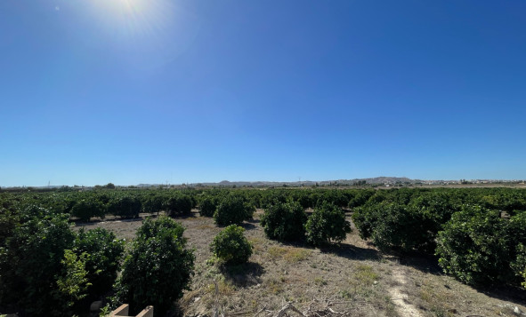 Reventa - 2. Chalet adosado - San Fulgencio - Center