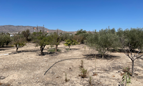 Resale - 3. Detached house - Crevillent - Crevillente