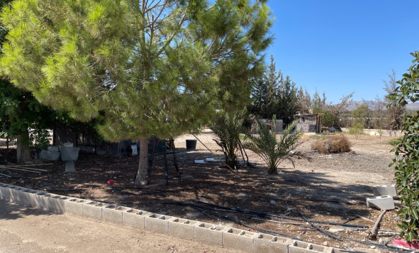 Resale - 3. Detached house - Crevillent - Crevillente