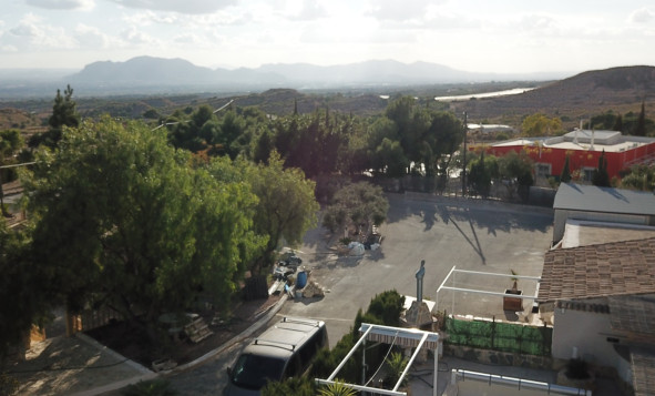 Reventa - 7. Finca - Crevillent - Crevillente