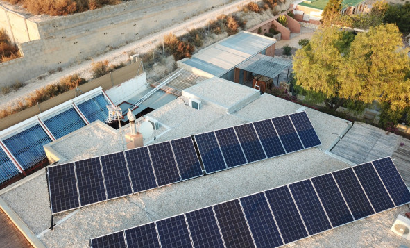 Reventa - 7. Finca - Crevillent - Crevillente