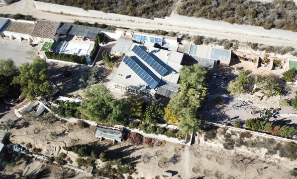 Reventa - 7. Finca - Crevillent - Crevillente