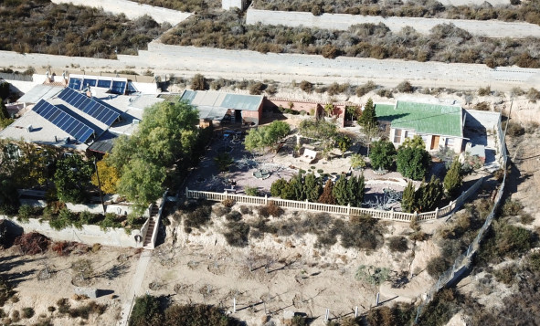 Reventa - 7. Finca - Crevillent - Crevillente