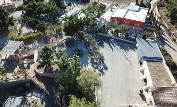 Reventa - 7. Finca - Crevillent - Crevillente