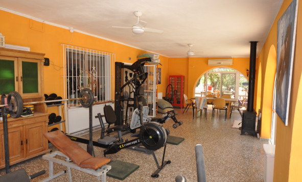 Reventa - 7. Finca - Crevillent - Crevillente