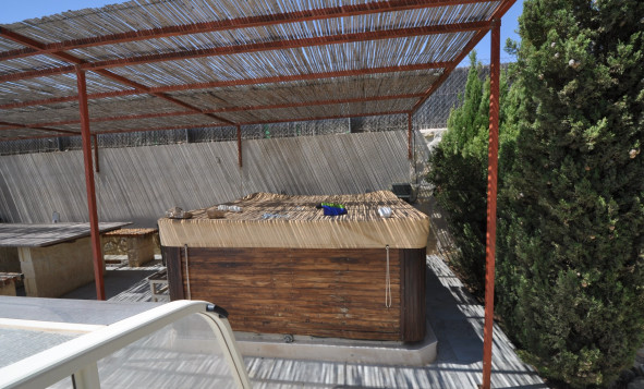 Reventa - 7. Finca - Crevillent - Crevillente