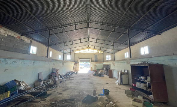 Reventa - 7. Finca - Elche