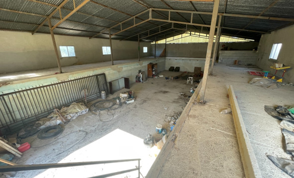 Reventa - 7. Finca - Elche