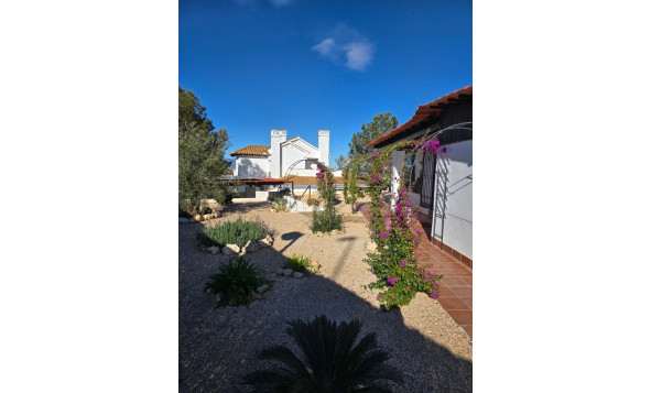 Reventa - 3. Casa indepiende - Fuente Alamo de Murcia - Las Palas