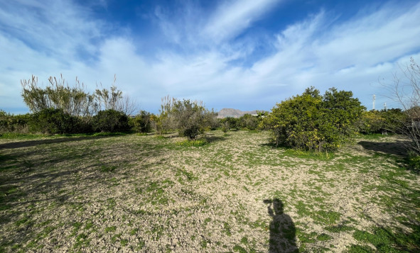 Reventa - 3. Casa indepiende - Benejúzar - Comunidad Valenciana