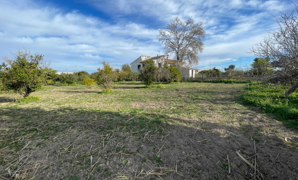 Reventa - 3. Casa indepiende - Benejúzar - Comunidad Valenciana