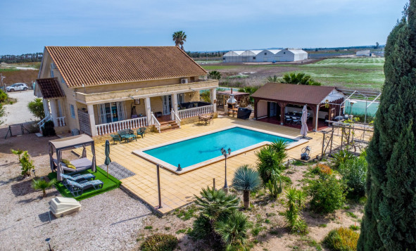 Resale - 7. Finca / Country property - Crevillent - Costa Blanca South